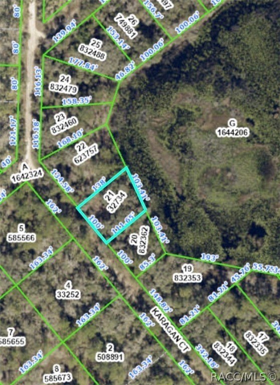 Waterfront Land in Webster, Florida