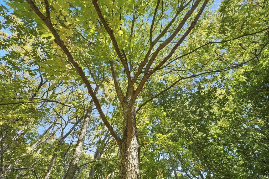 Picture 16