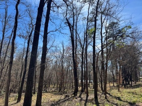 Wooded Waterfront Corner Lot