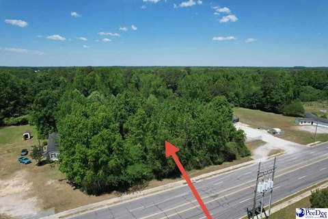 Commercial Land in Latta, SC