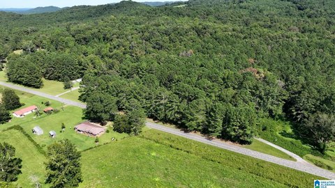 Wooded Development Land Tract