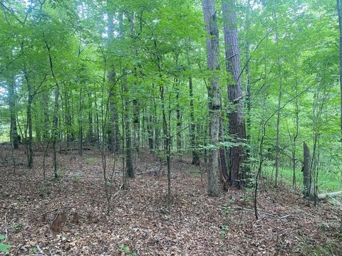 Residential Land in Waynesboro, GA