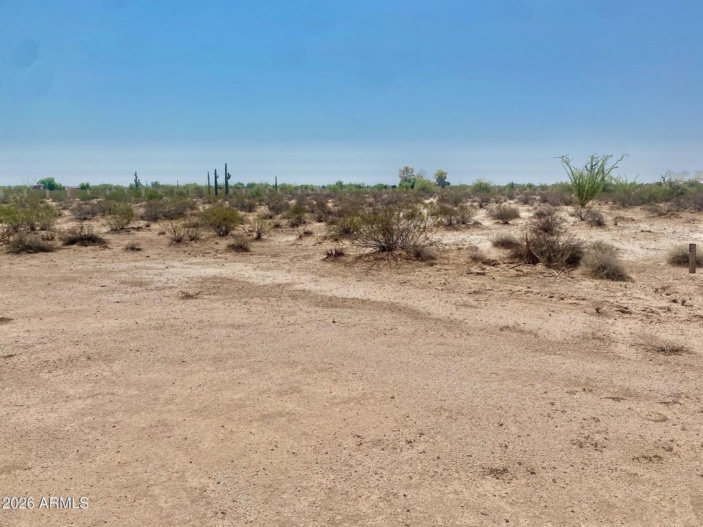 Picture 3