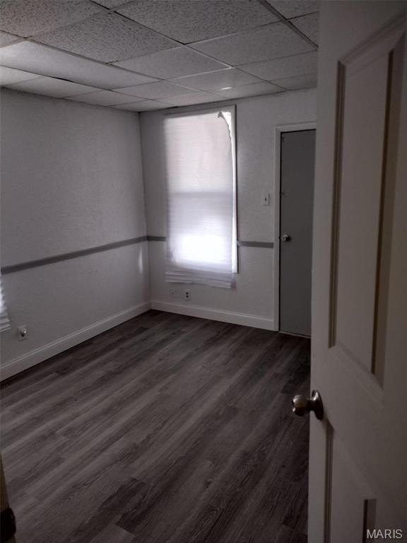 Picture 7