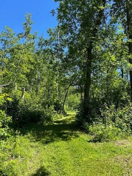 Lakefront Recreation Land Parcel