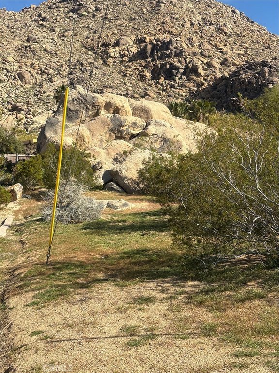 Picture 8