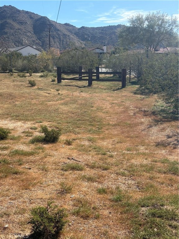 Picture 9