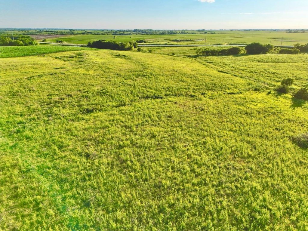 Picture 58