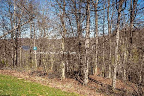 Falling Water Homesite Opportunity