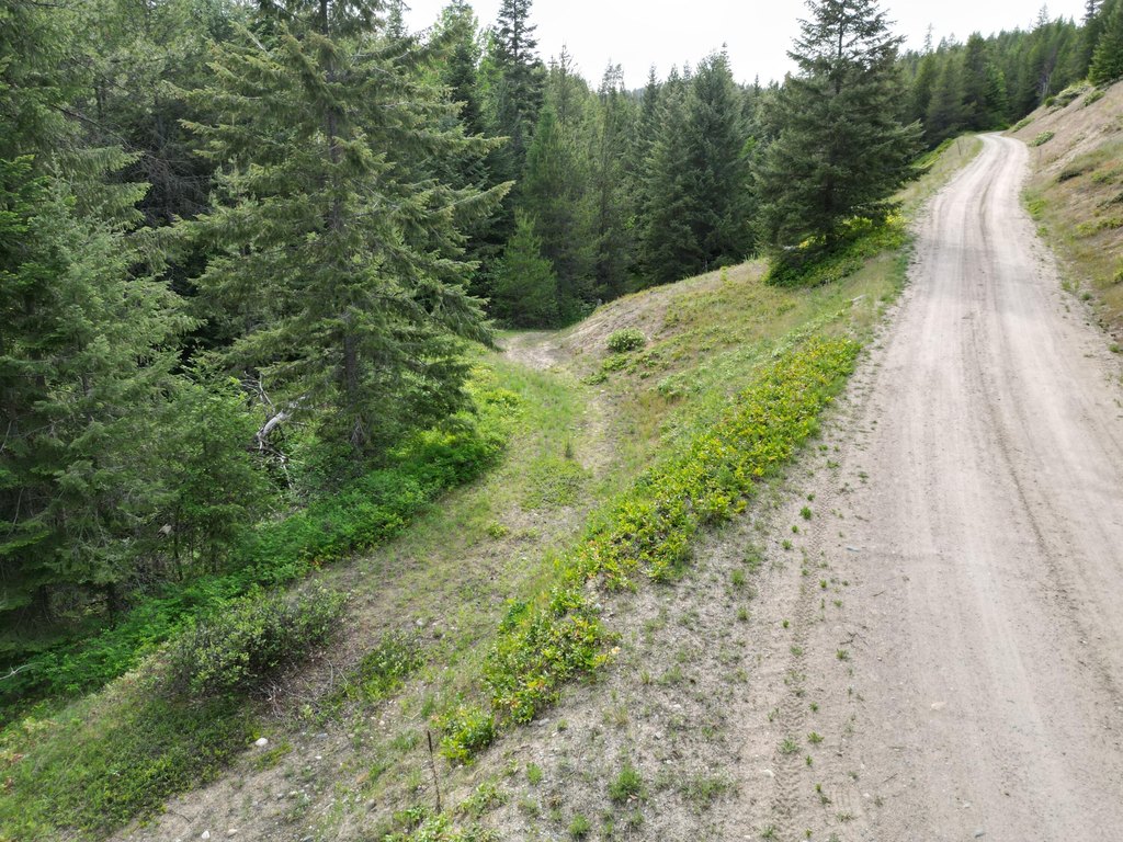 Picture 3