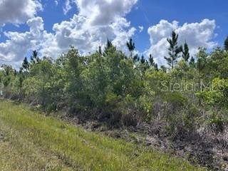 Residential Land in Quiet Locale