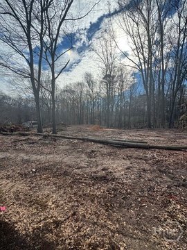Land, Bowman, GA