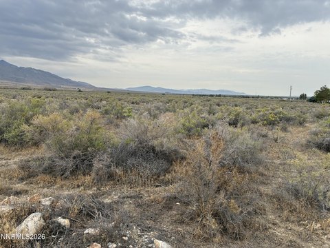 Land, Lovelock, NV