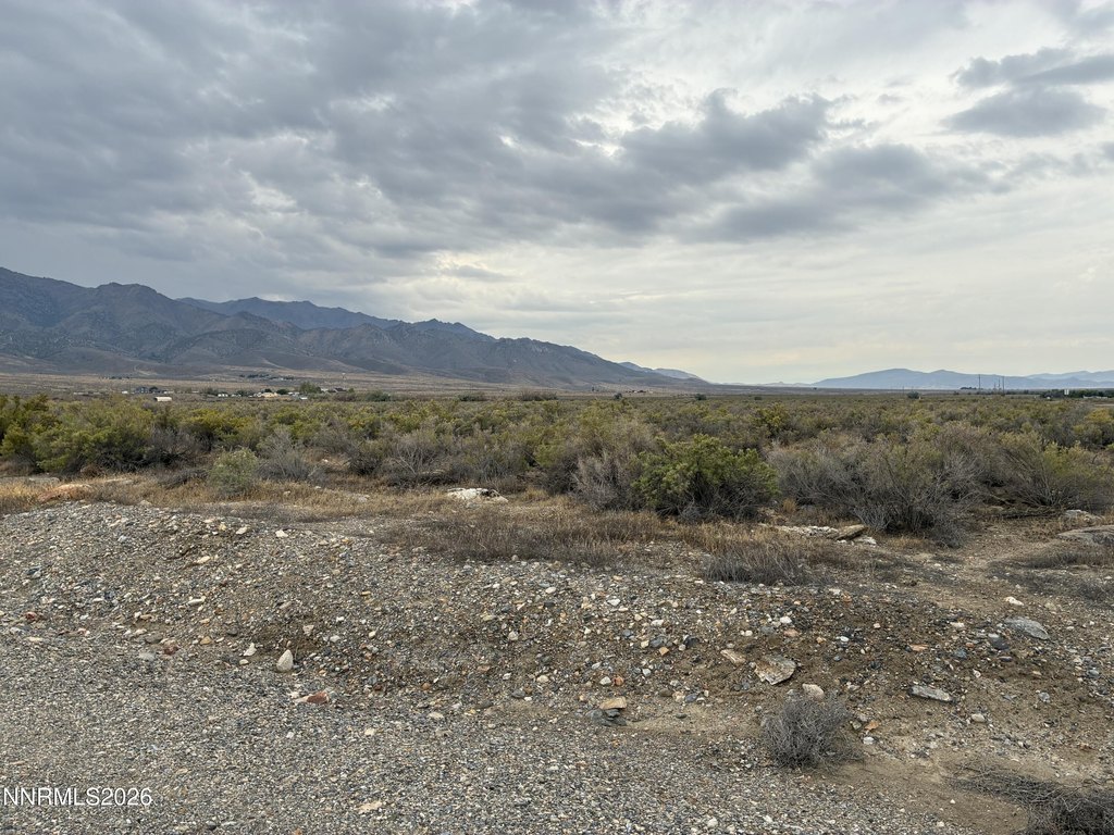 Picture 5