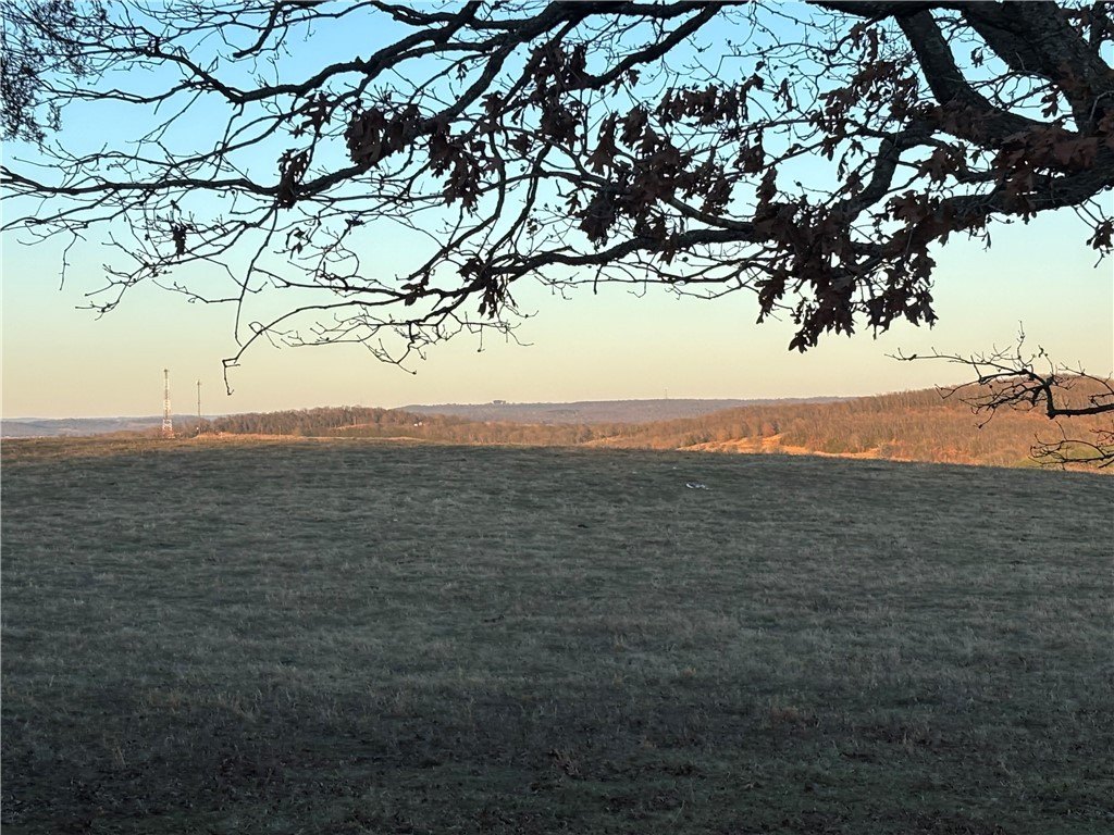 Picture 38