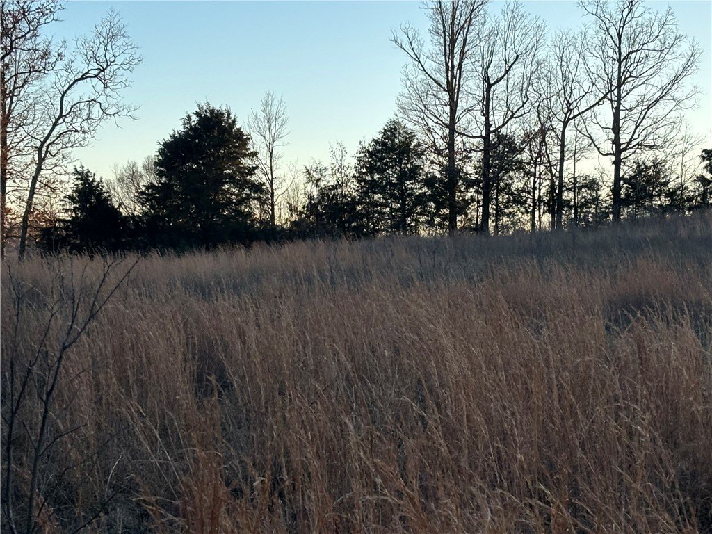 Picture 39
