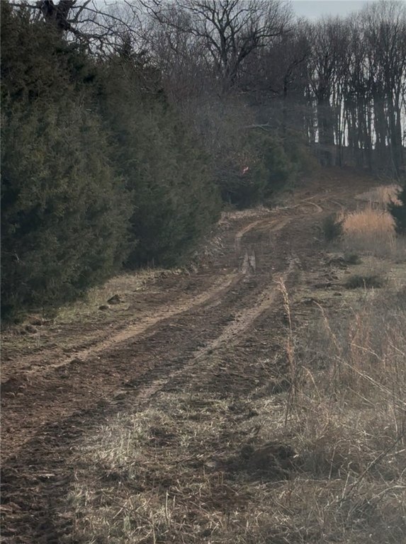 Picture 6