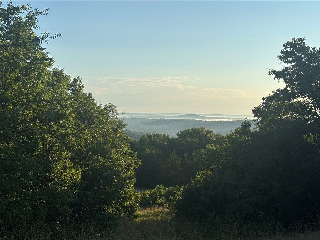 Picture 42