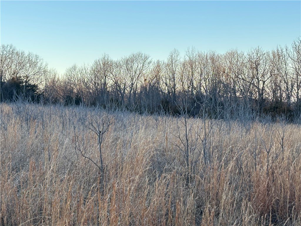 Picture 15
