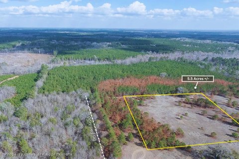 Land, Manning, SC
