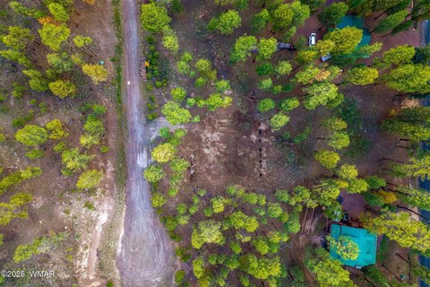 Land in Alpine, Arizona