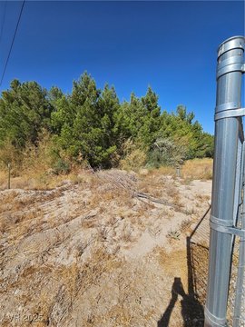 Pahrump Land with Pine Trees