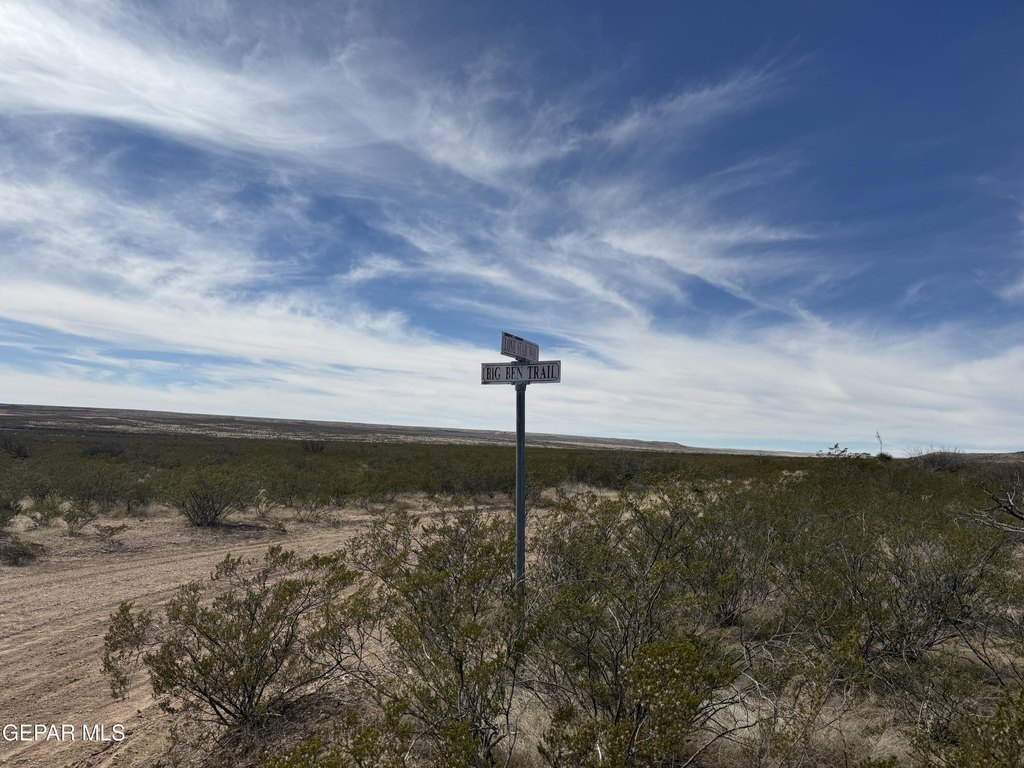 Picture 23