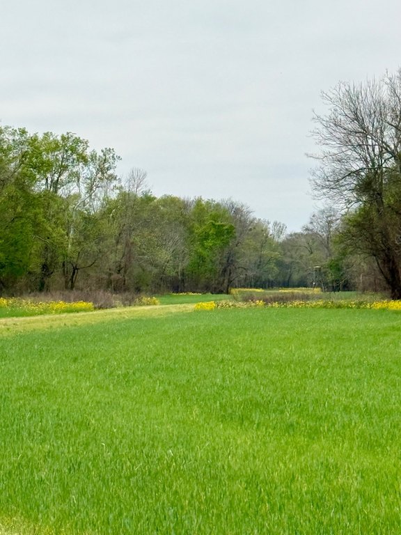 Picture 25