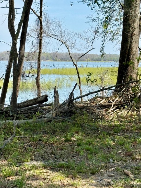 Picture 51