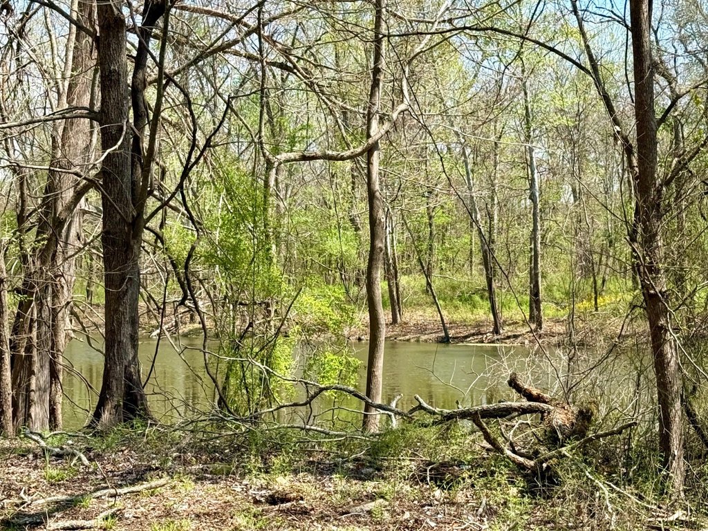 Picture 52
