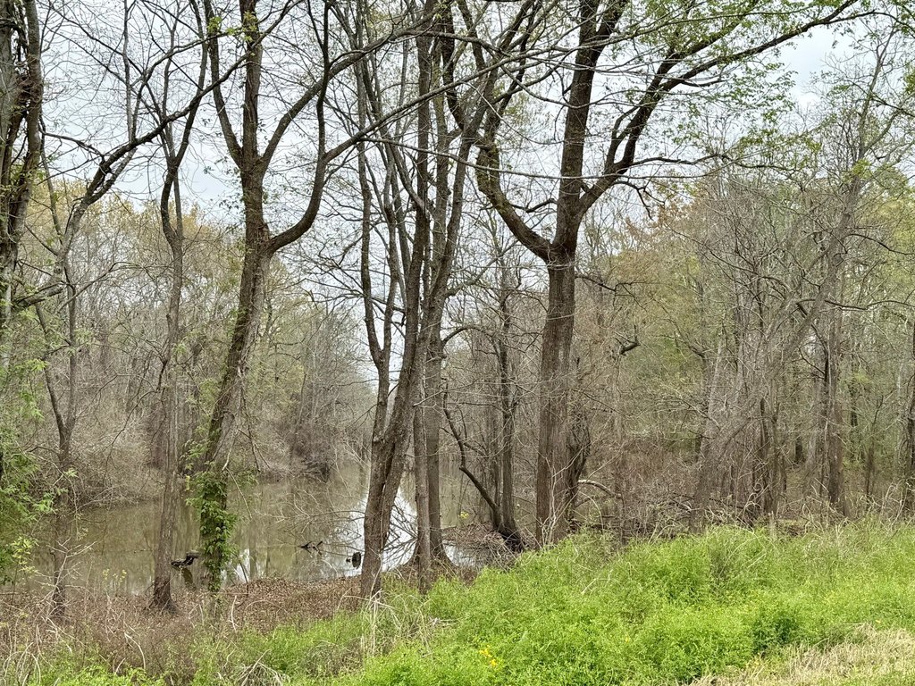 Picture 31