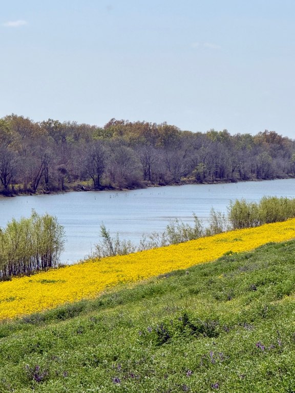 Picture 9