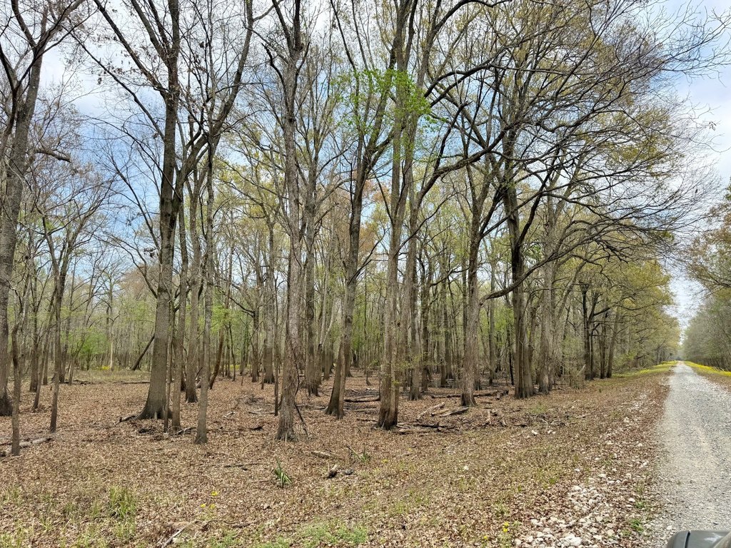 Picture 43