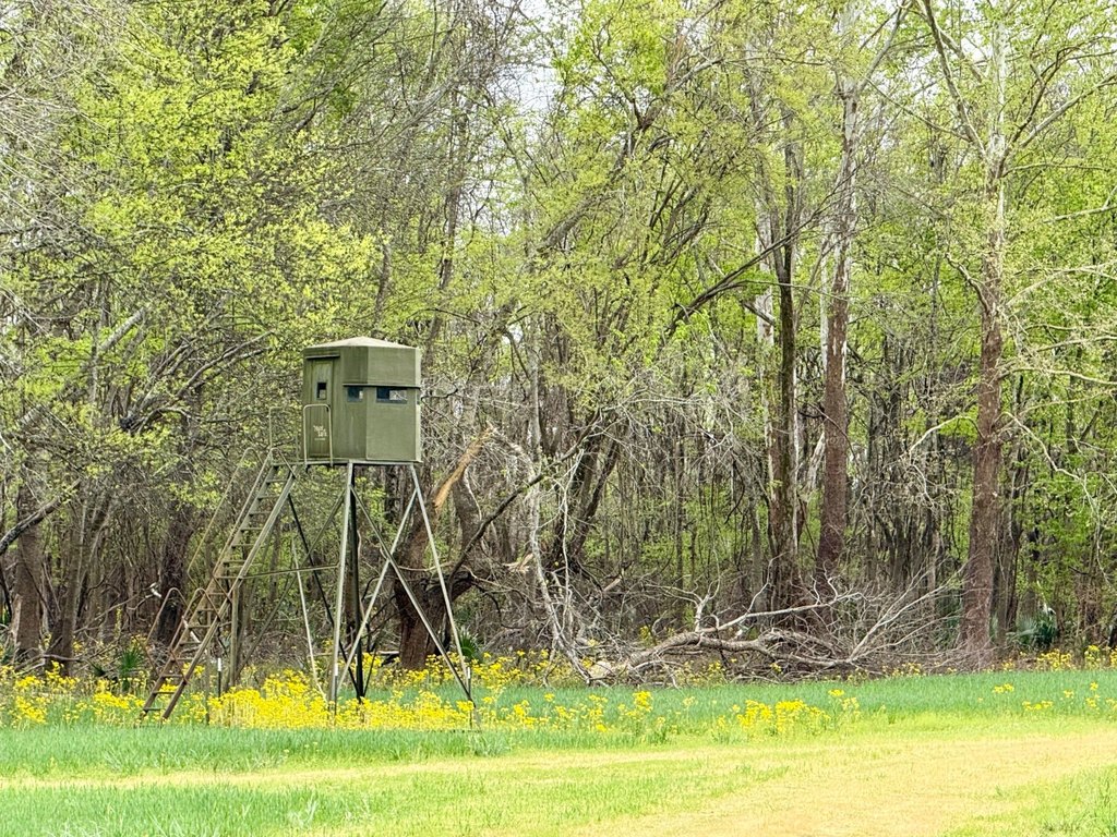 Picture 24