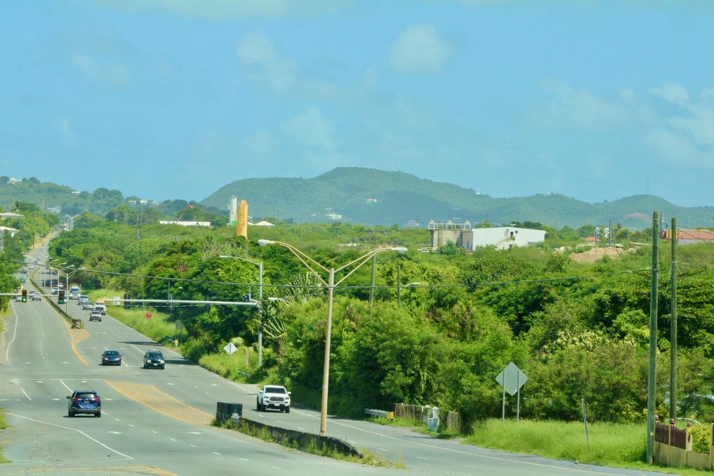 Picture 6