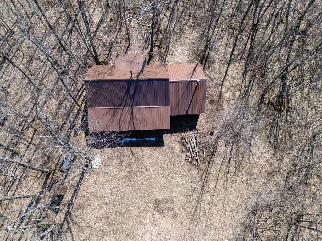 Picture 5