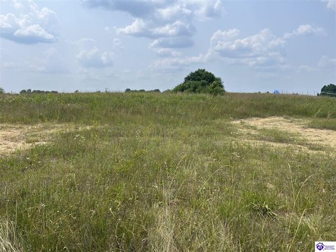 Lots and Land, Custer, KY