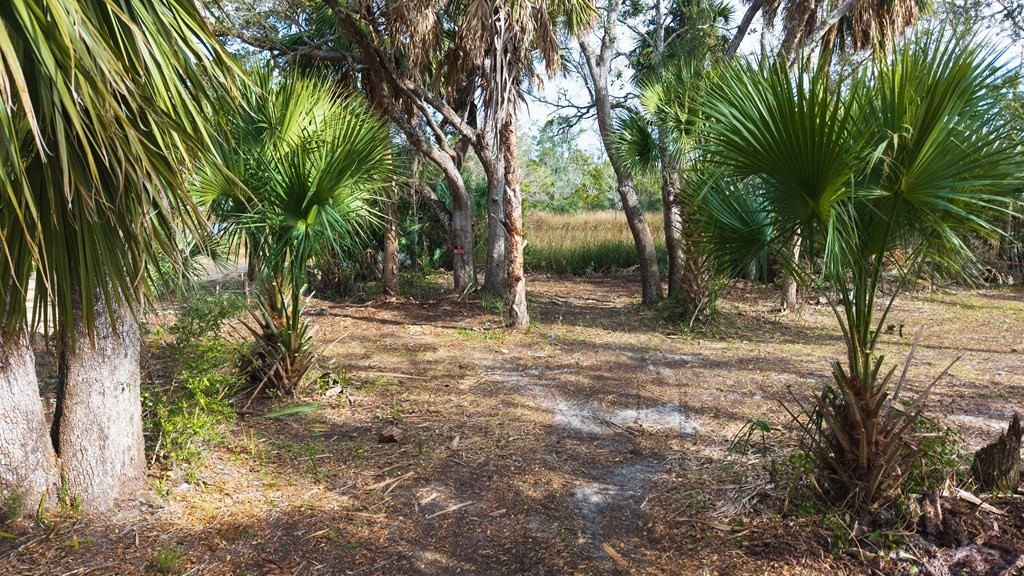 Picture 6