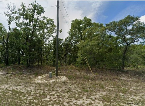 Land, Dunnellon, FL