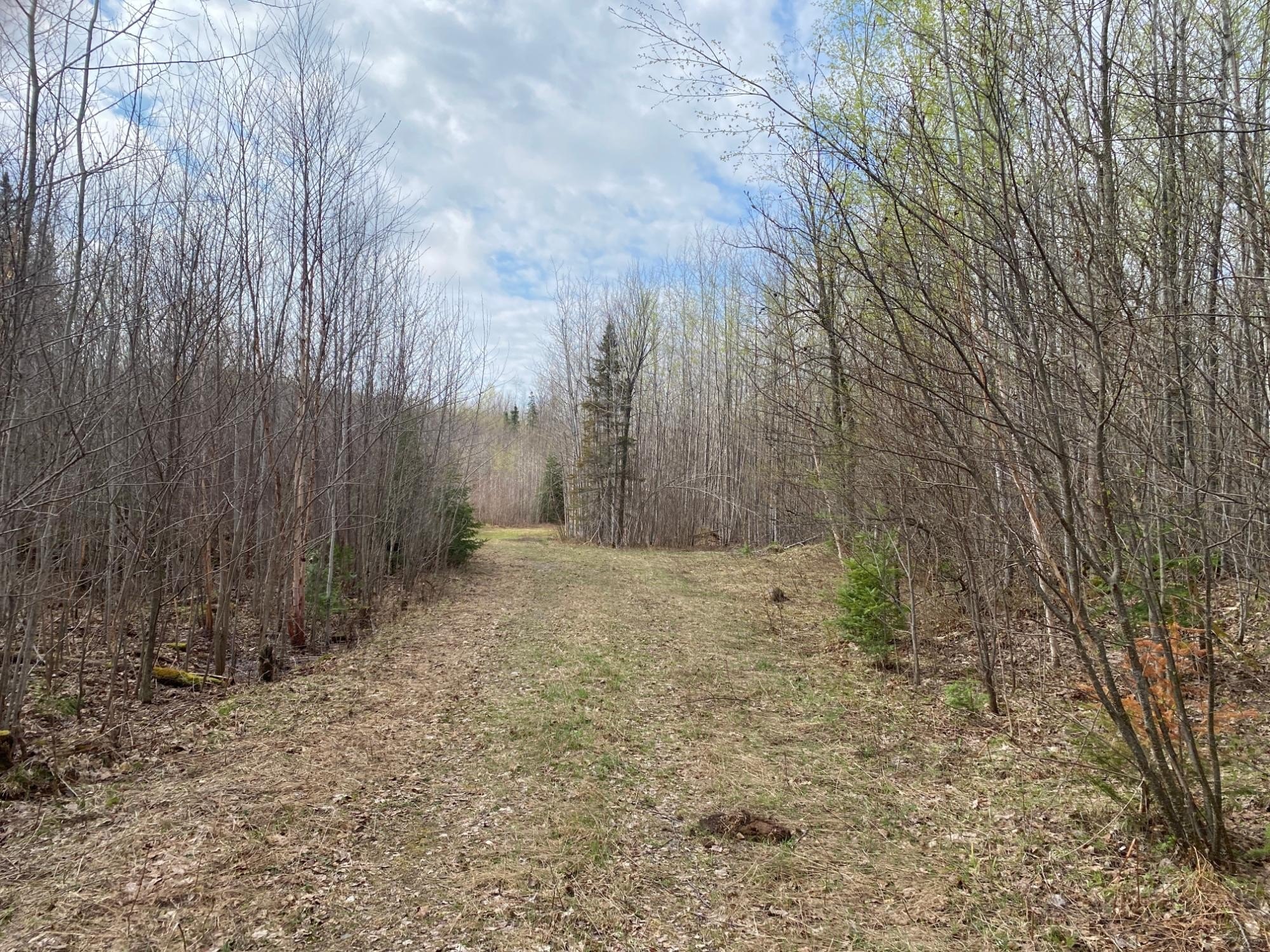 120 Acres in Price County
