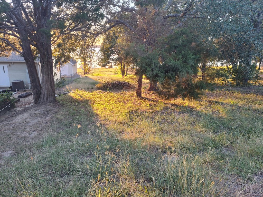 Picture 7
