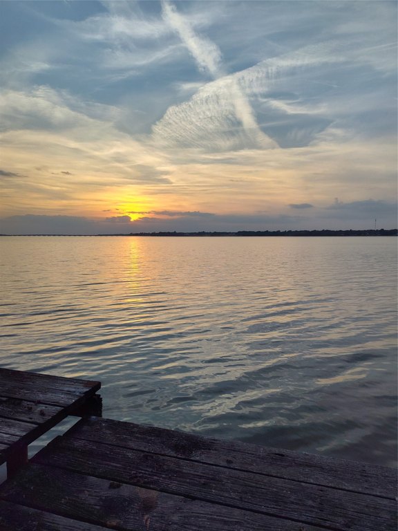 Picture 11