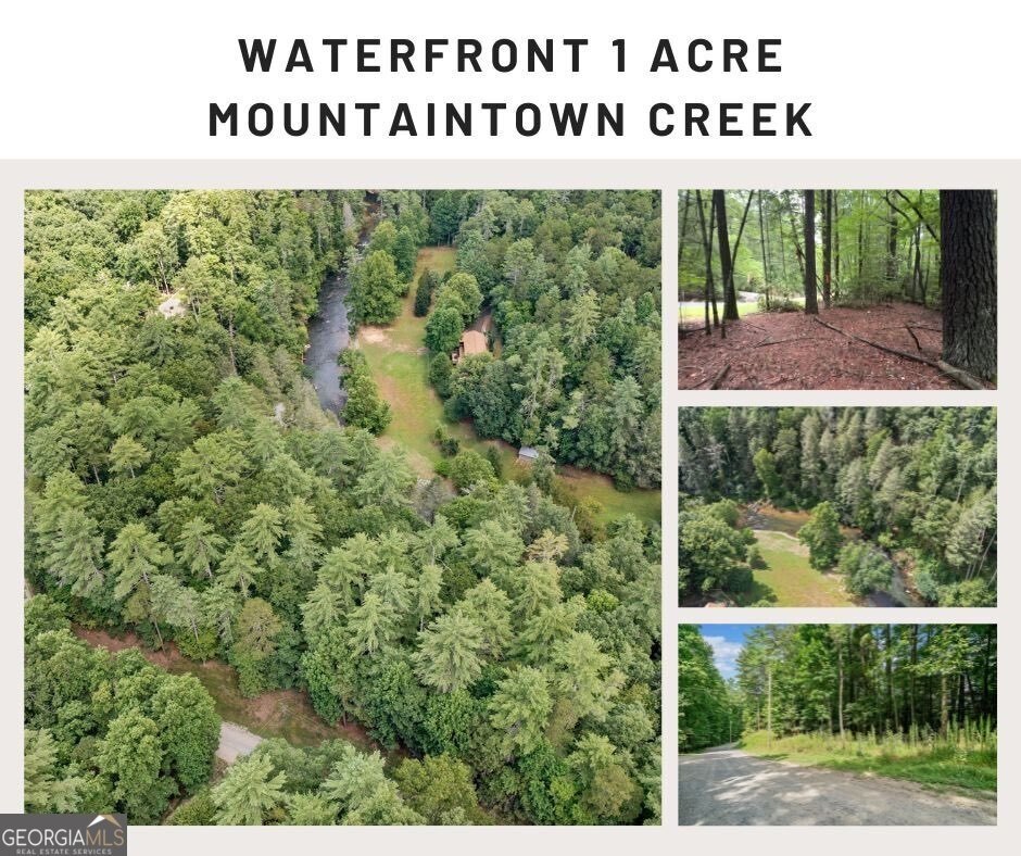 Ellijay Land with Creek Frontage