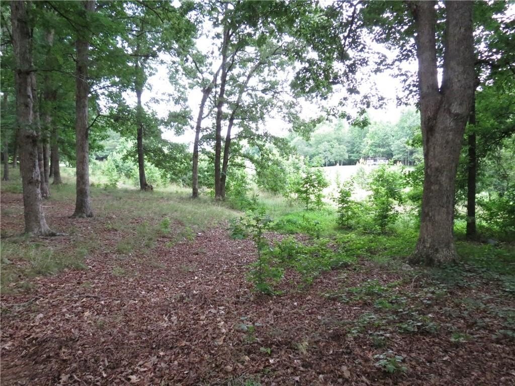 Picture 7