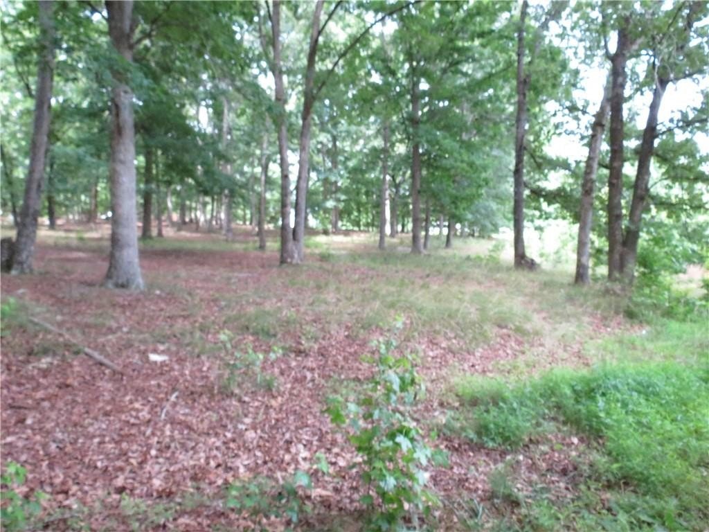 Picture 3