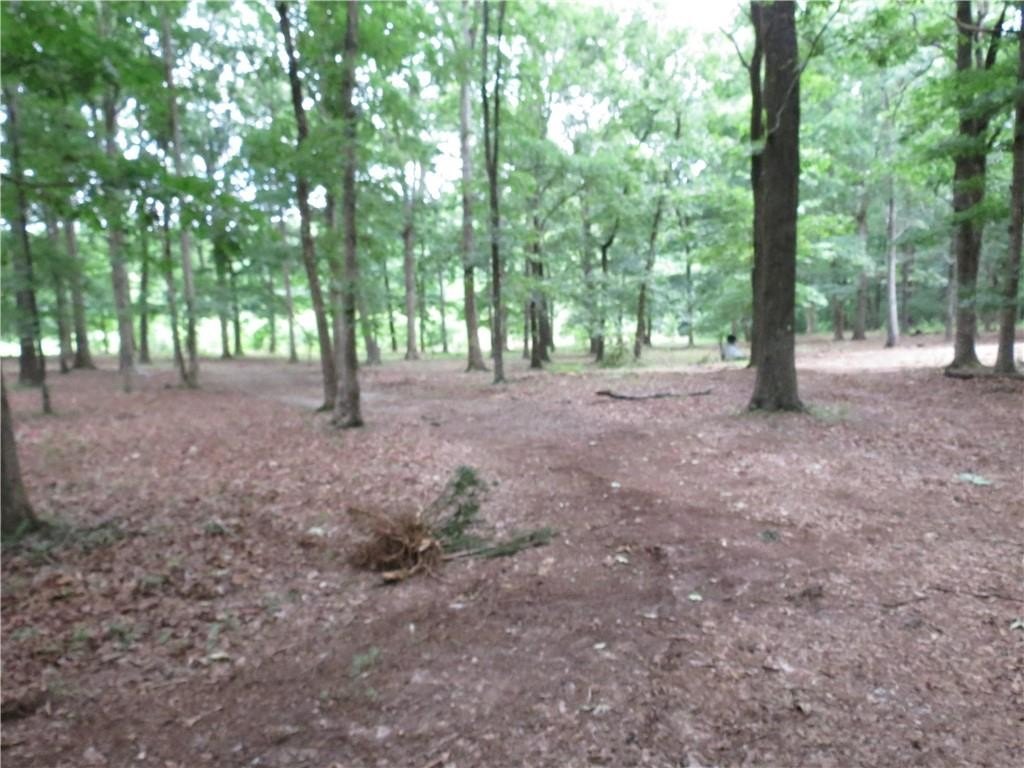 Picture 8