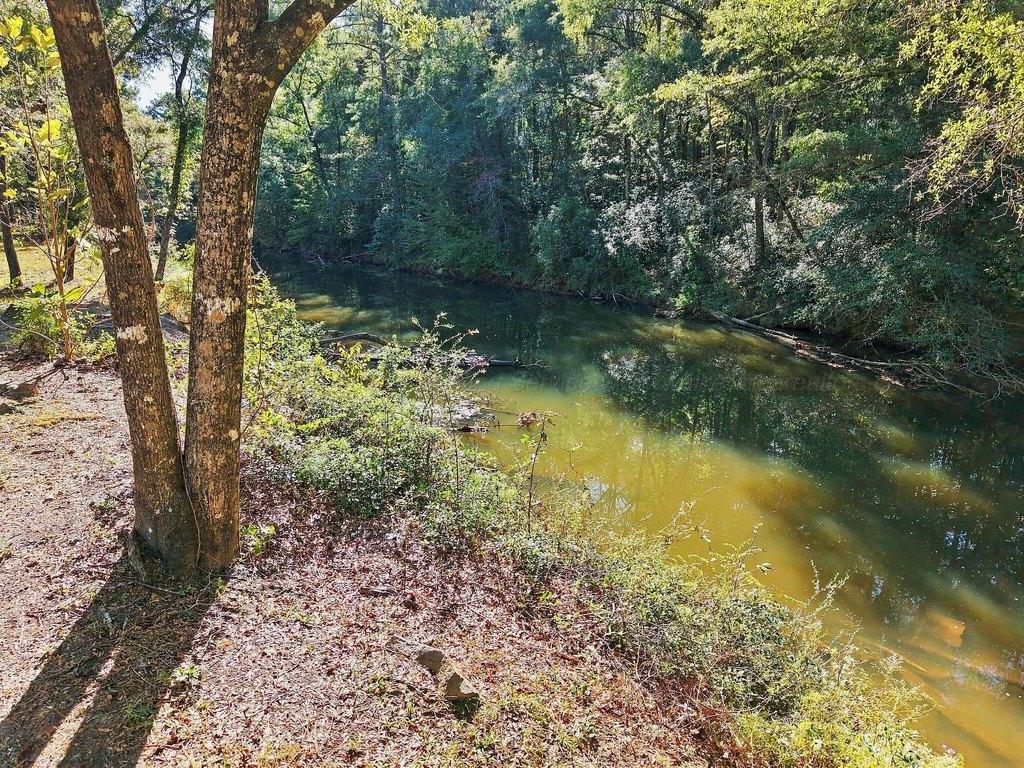 Picture 4