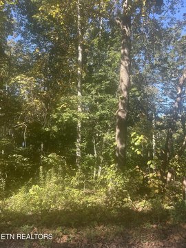 Lots & Acreage, Crossville, TN