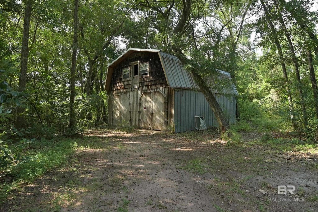 Picture 15