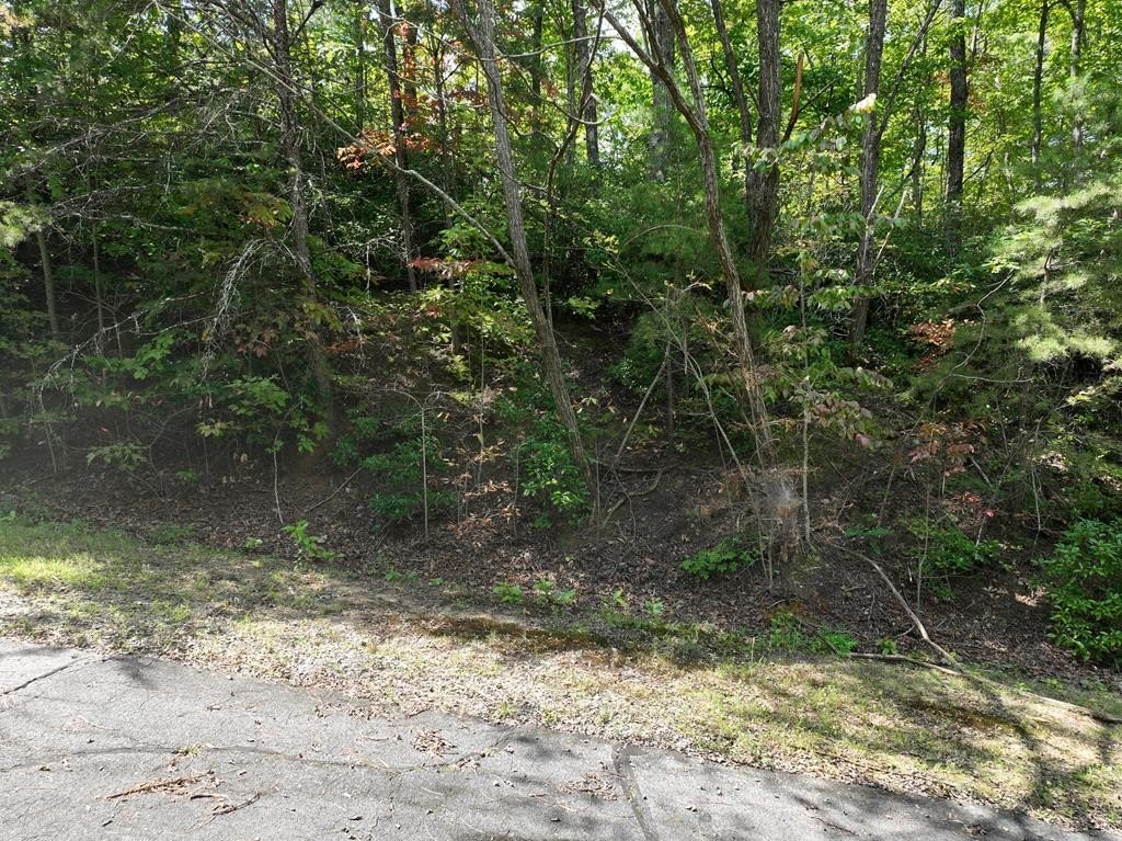 Picture 16